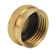 Water inlet valve plug